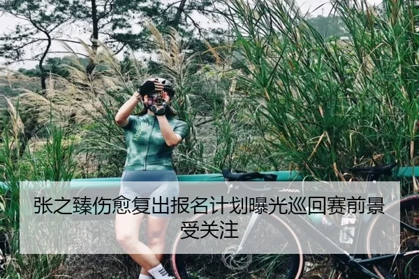 张之臻伤愈复出报名计划曝光巡回赛前景受关注