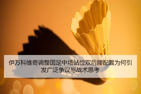 伊万科维奇调整国足中场站位双后腰配置为何引发广泛争议与战术思考
